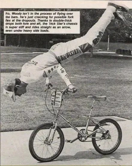 51217 diecast hall of fame inductee 2