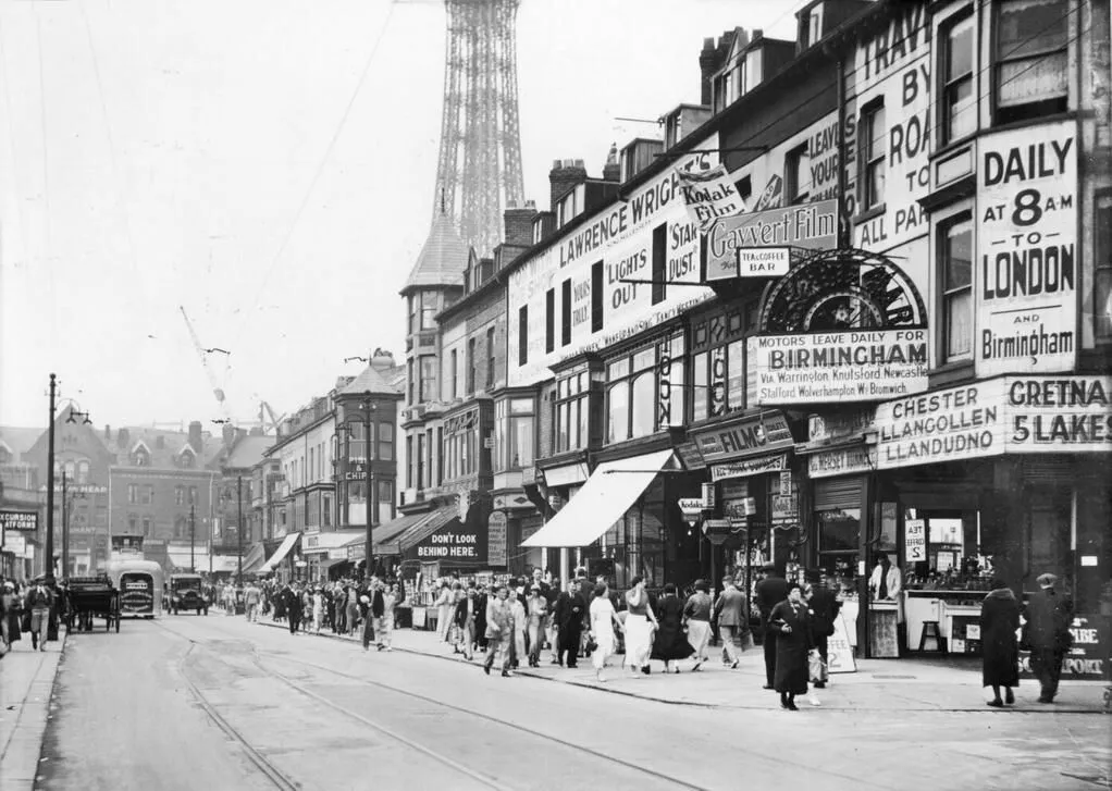 51313 collectors examining model