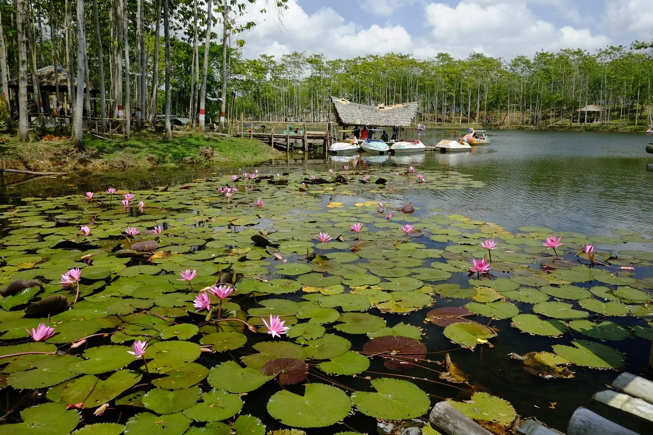 51366 diecast cilacap collectors